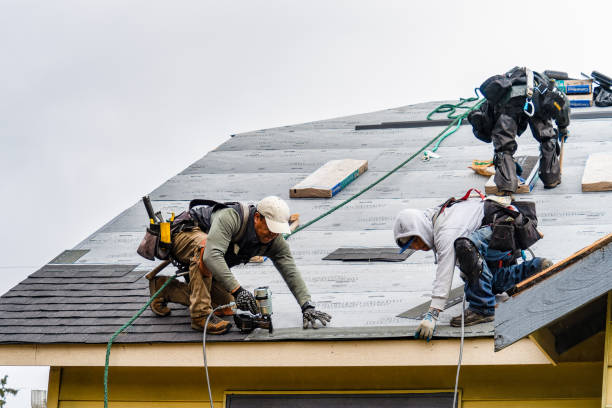 Professional Gutter Installation technician working in Buda, TX